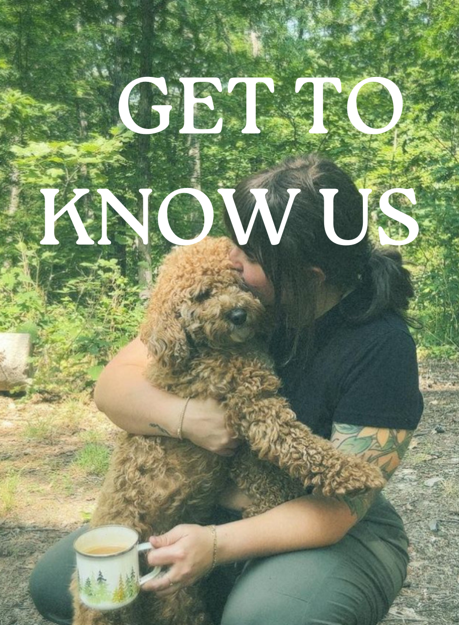 Introducing Us