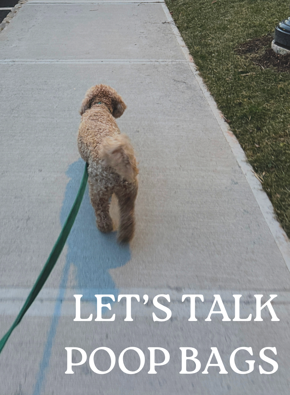LETS TALK POOP BAGS walking a goldendoodle